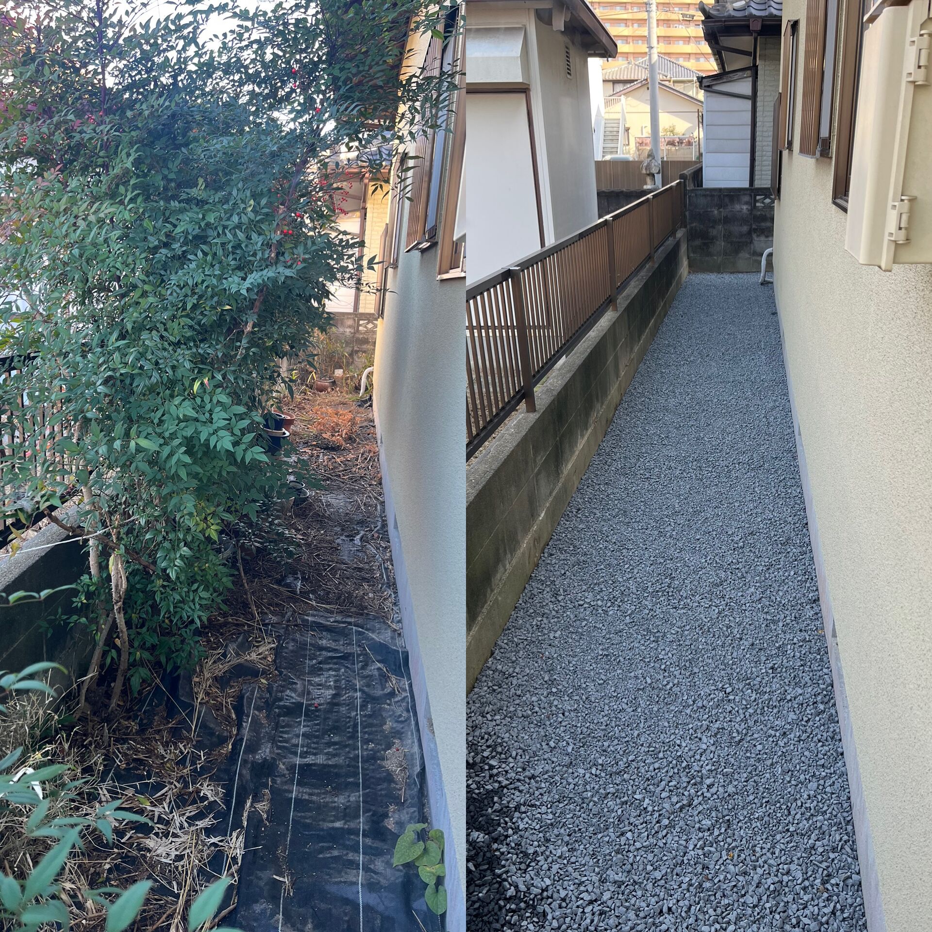 リガーデン　夏場の雑草対策